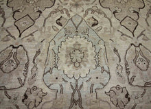Load image into Gallery viewer, Vegetable Dye Ziegler Oriental Area Rug 9x12 One of a Kind
